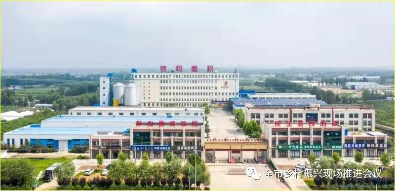 临沂市乡村振兴现场推进会临沭,沂南打造乡村振兴齐鲁样板