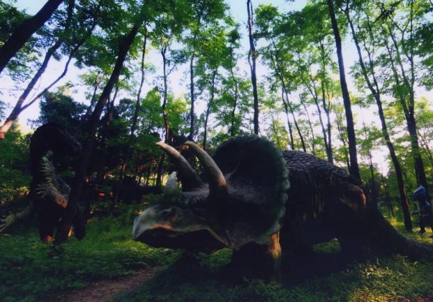 博山区年审,博山年审