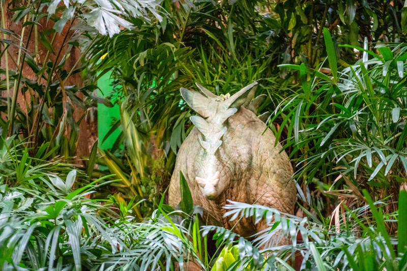 玩转广州长隆野生动物世界之行,广州长隆动物世界游玩攻略图