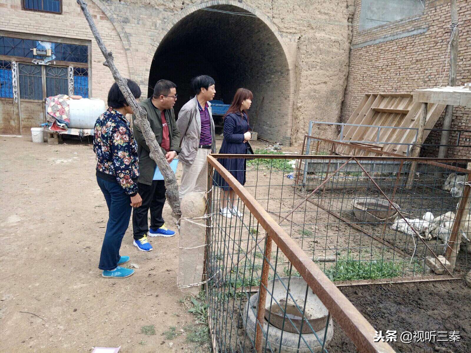 白水县教育局郭雪芳,白水县郭雪芳