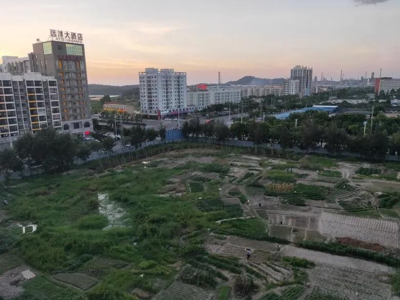 钦州港这块地已经成了菜地？网友提议建成大家受益的球场