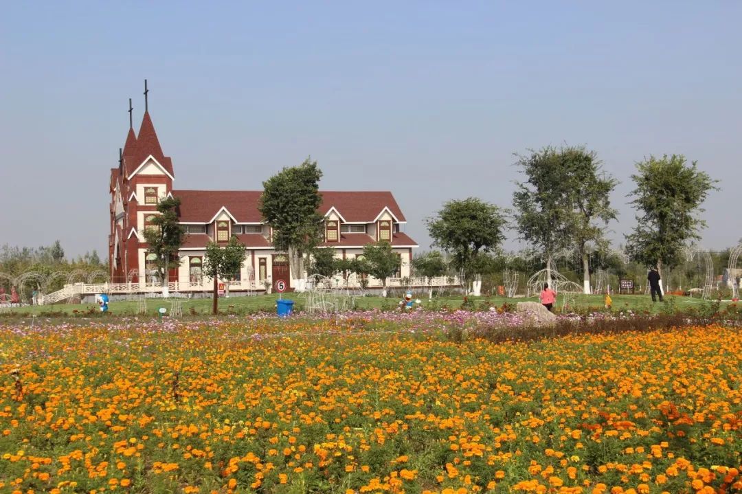 这座透露着古韵之美的城市,这座城市里藏着很多好玩的秘密