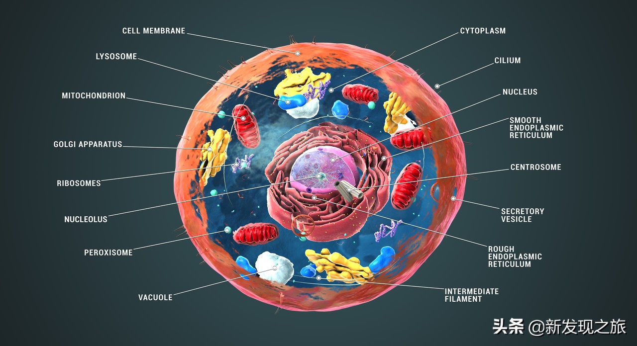 如果没了人类世界有多可怕,如果没了道德人会怎么样
