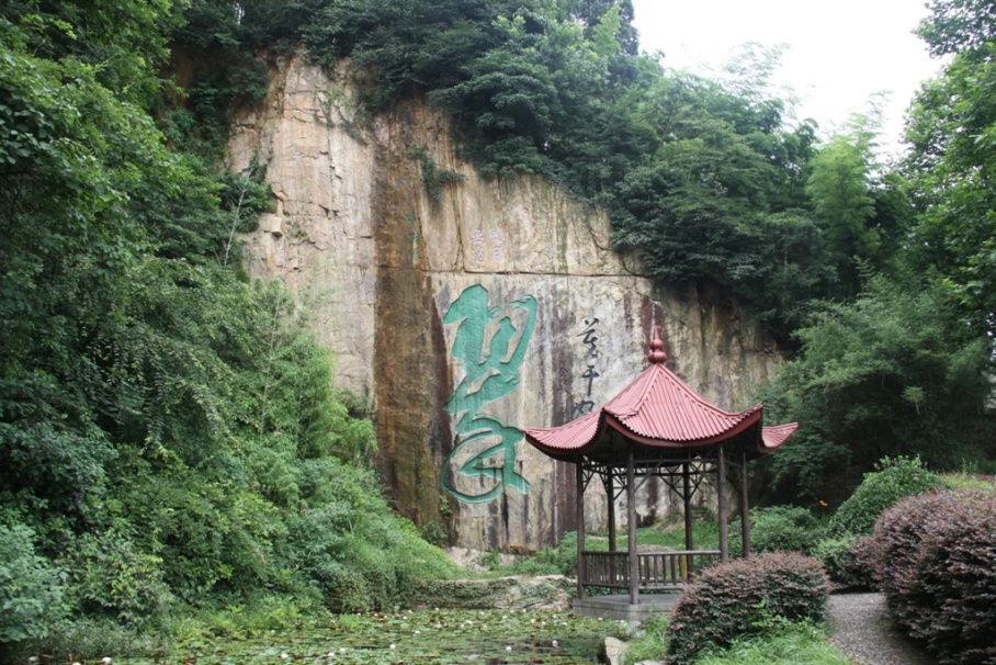 周末自驾游用什么轮胎好,海边自驾游用什么轮胎最好