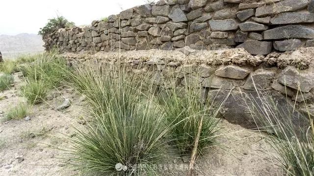 九层妖塔墓葬考古细节披露,九层妖塔真实发掘