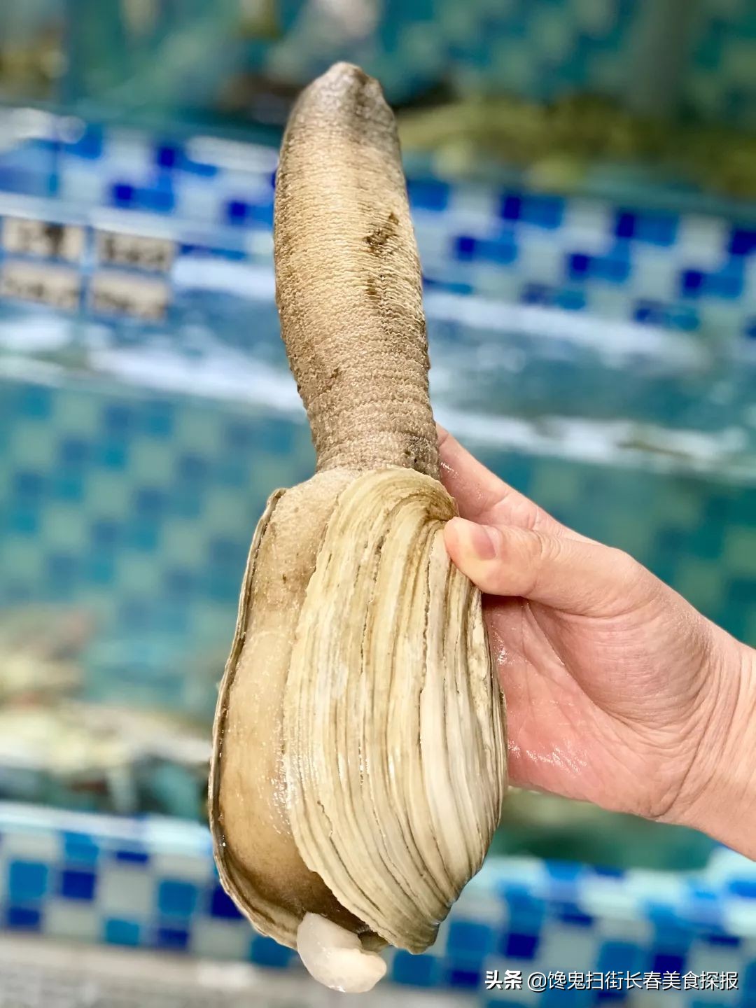 长春居然之家火锅,长春有个火锅很出名叫什么