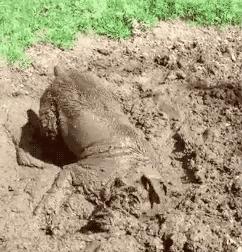 用泥巴做什么生意赚钱,小作坊做泥巴的生意