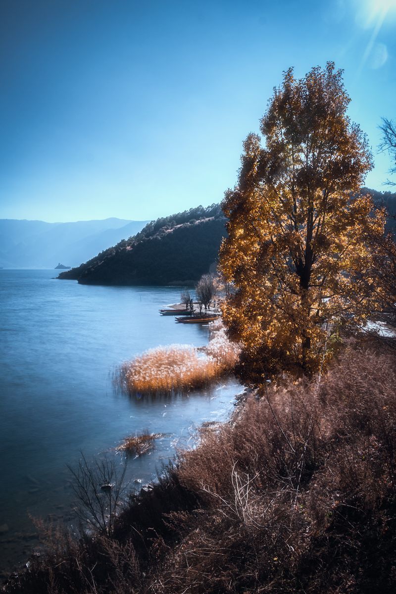 调色学不好怎么办,调色无思路