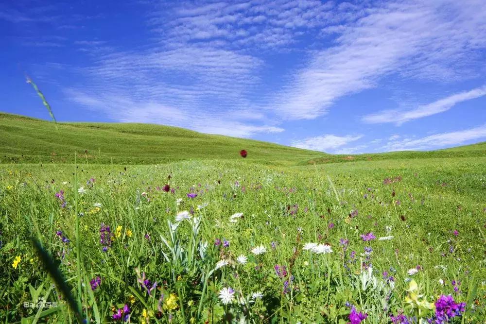 蔚县十大新型创业项目加盟,蔚县投资