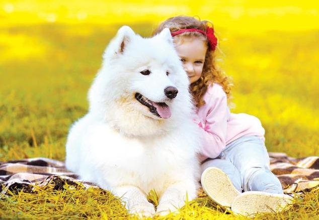 美工专业薪资,美工为什么工资那么高