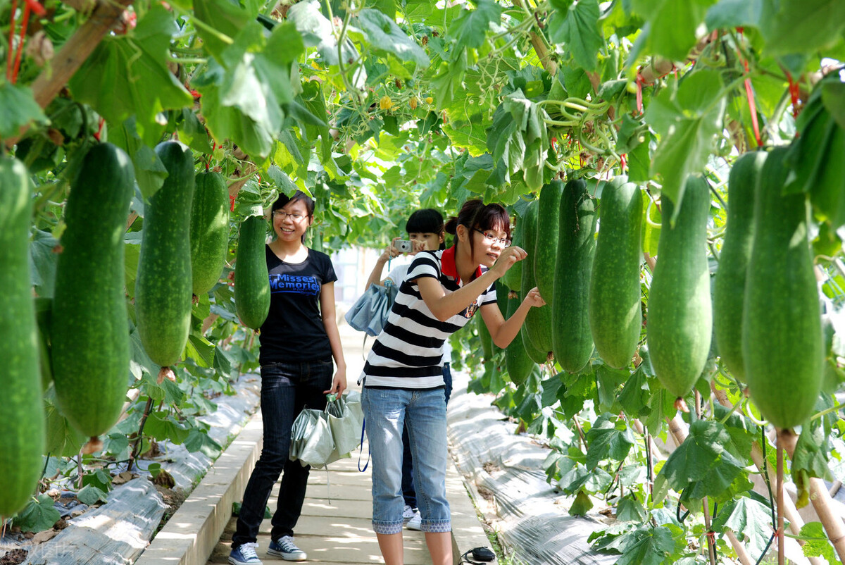广西农业招商引资项目补贴,广西农业重大项目招商签约