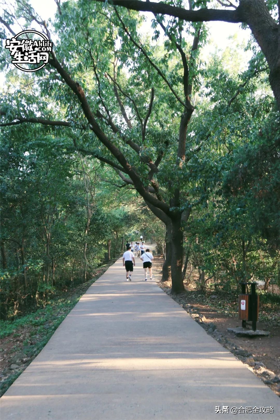 大蜀山,大蜀山的爱情