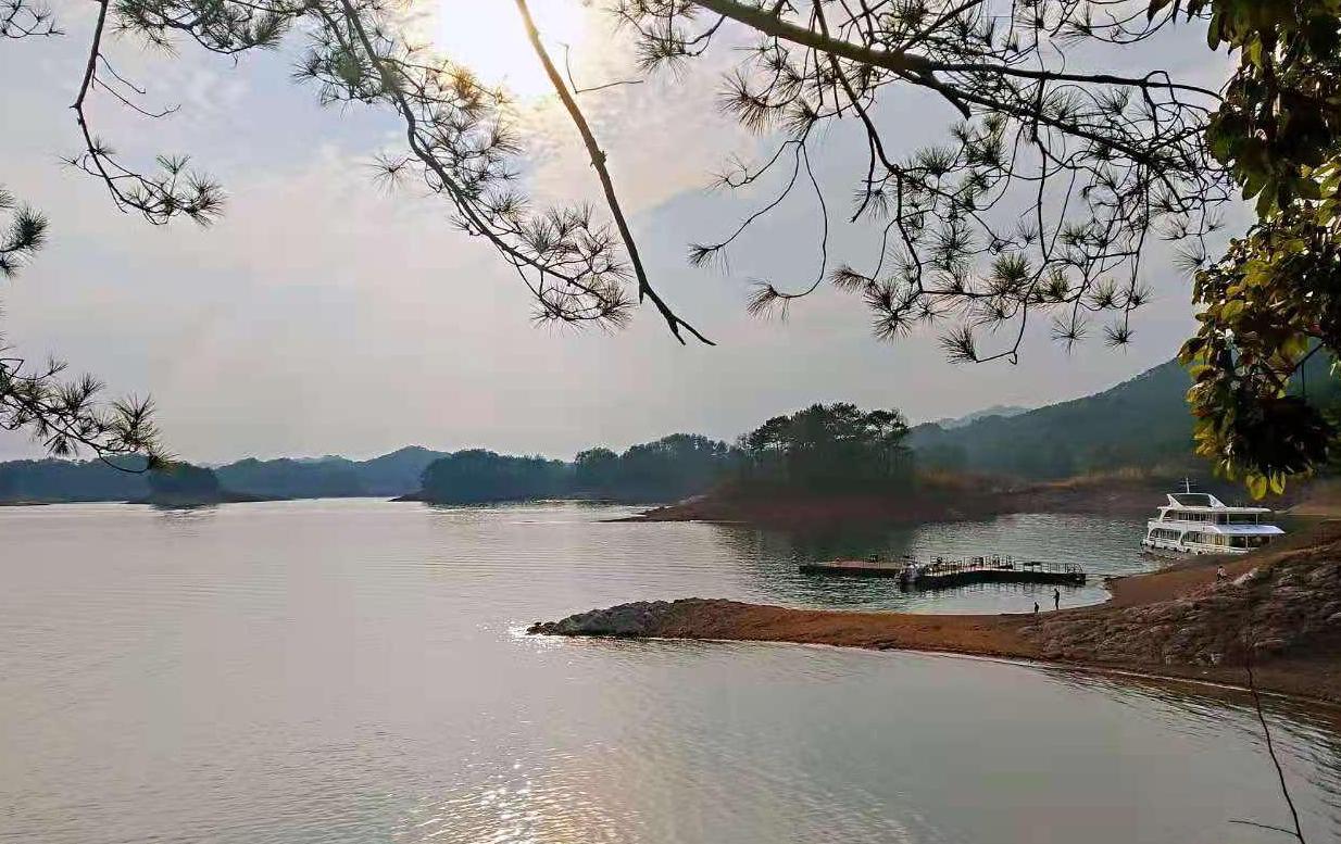 第242期：诗歌、小说、戏曲，哪一个才是中国俗文学的根基？