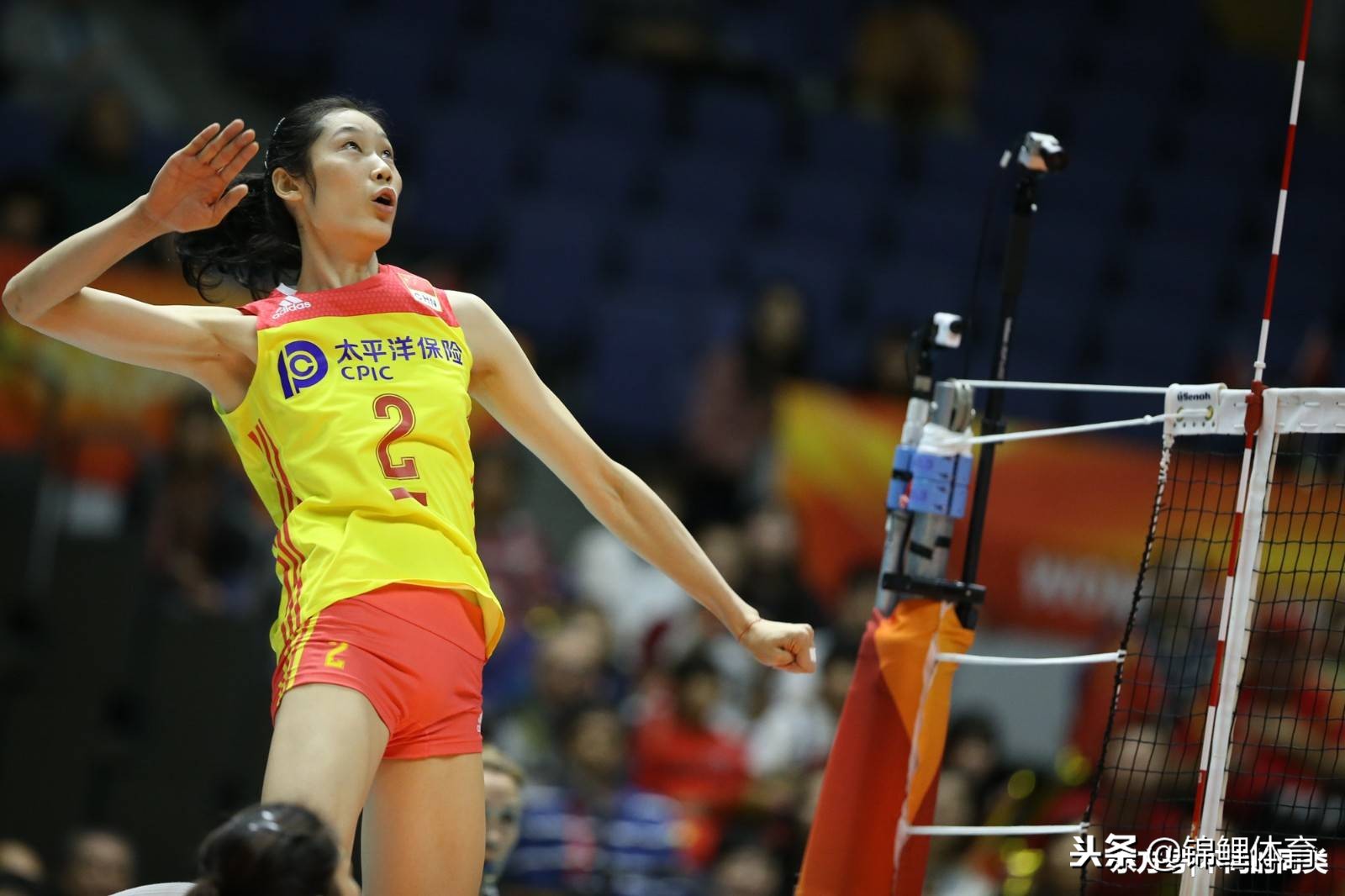 女足王霜为什么没有参加东亚杯,女足王霜为什么离开国足