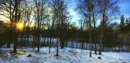 甘草学园|燥湿同病的用药三法和临证举隅