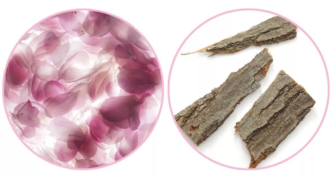 精油入门必备护肤品,平价单方精油推荐面部