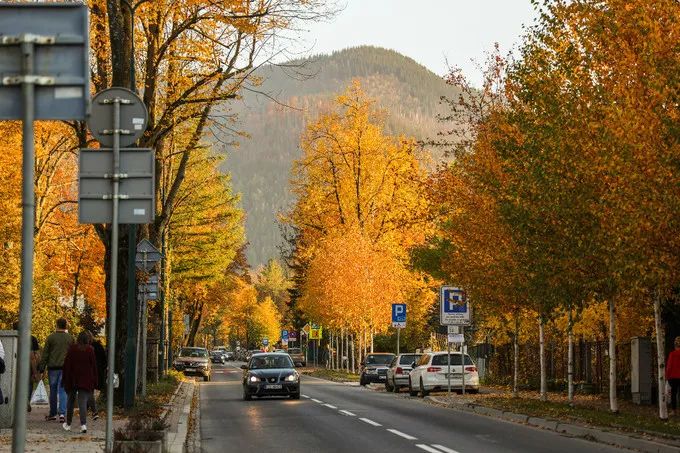 波兰记游记,游记波兰