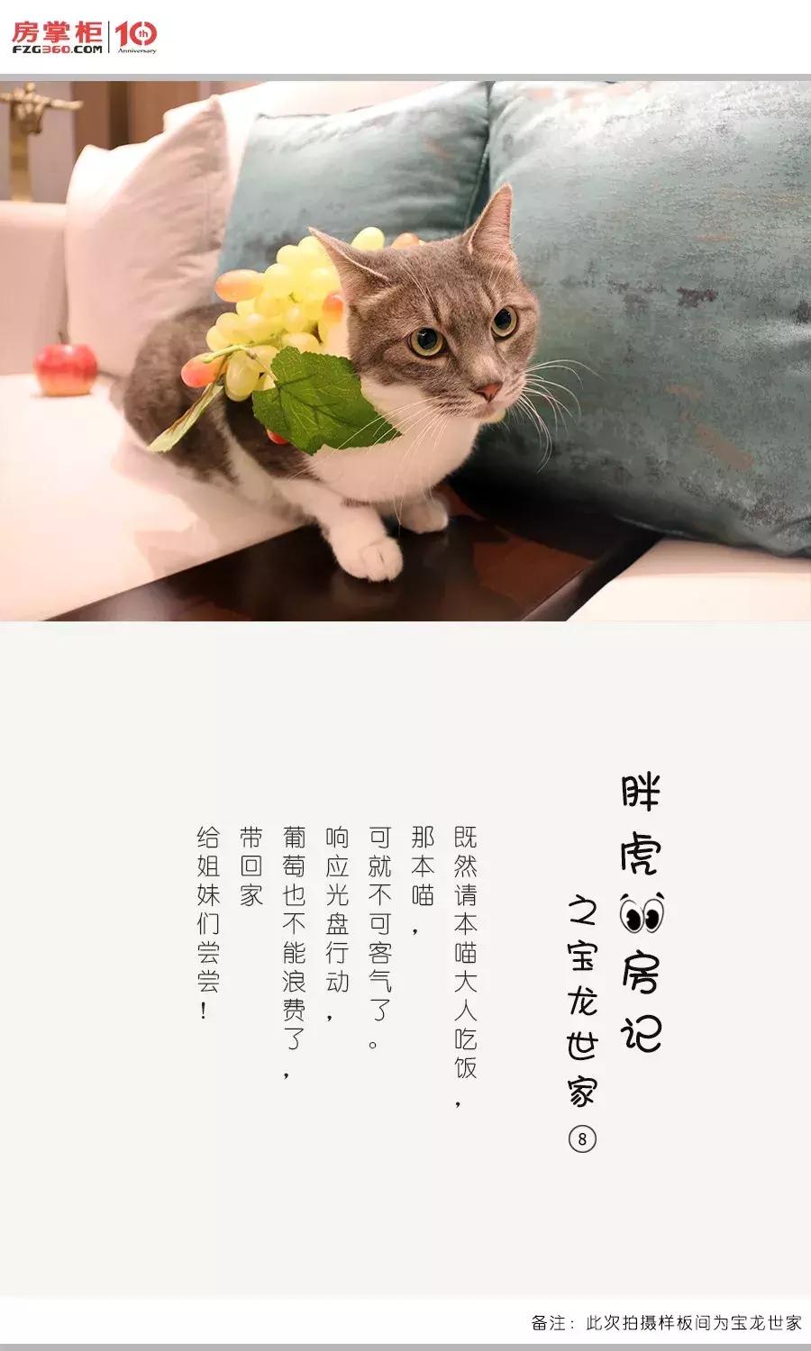 「胖虎大人看房记」第②期——宝龙世家