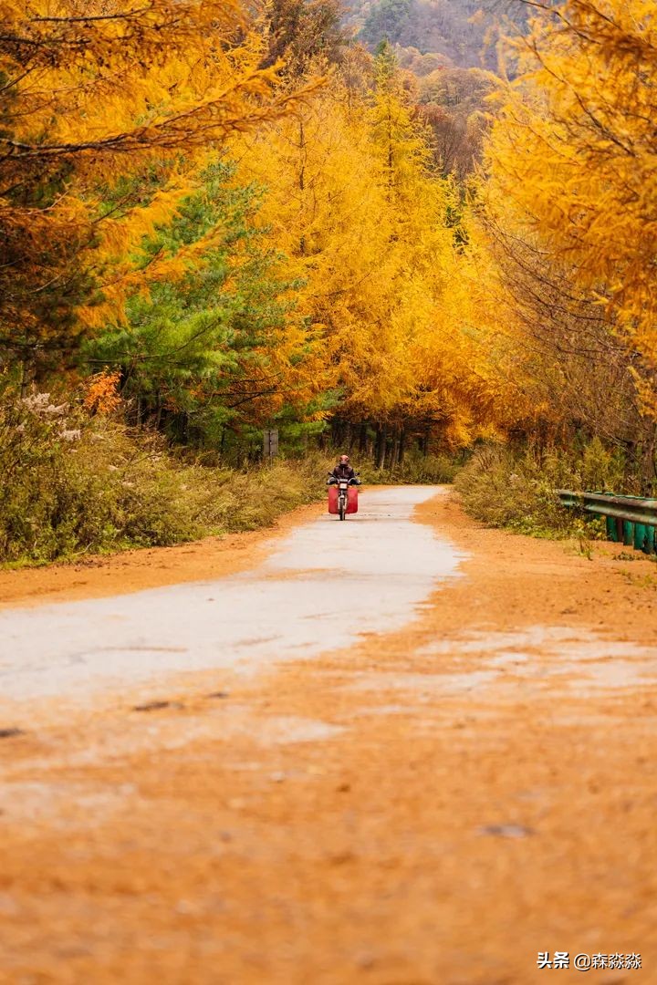 秦岭赏秋怎么玩才好玩呢,大秦岭山旅游攻略