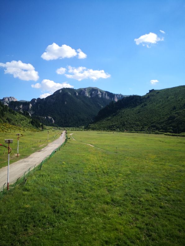 甘肃则岔石林旅游景区,则岔石林哪个漂亮