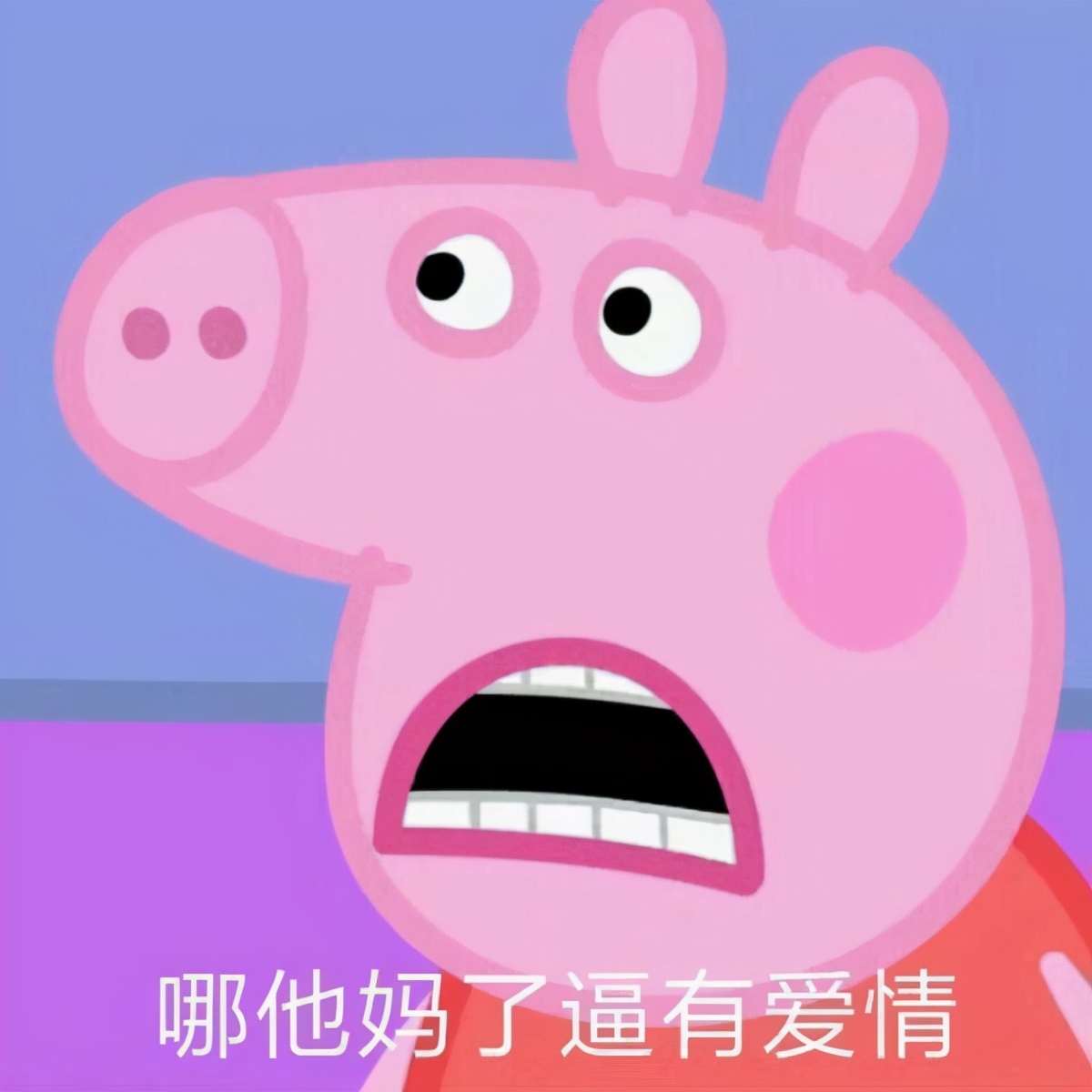 尬聊小猪佩奇表情包,小猪佩奇表情包搞笑沙雕无字体