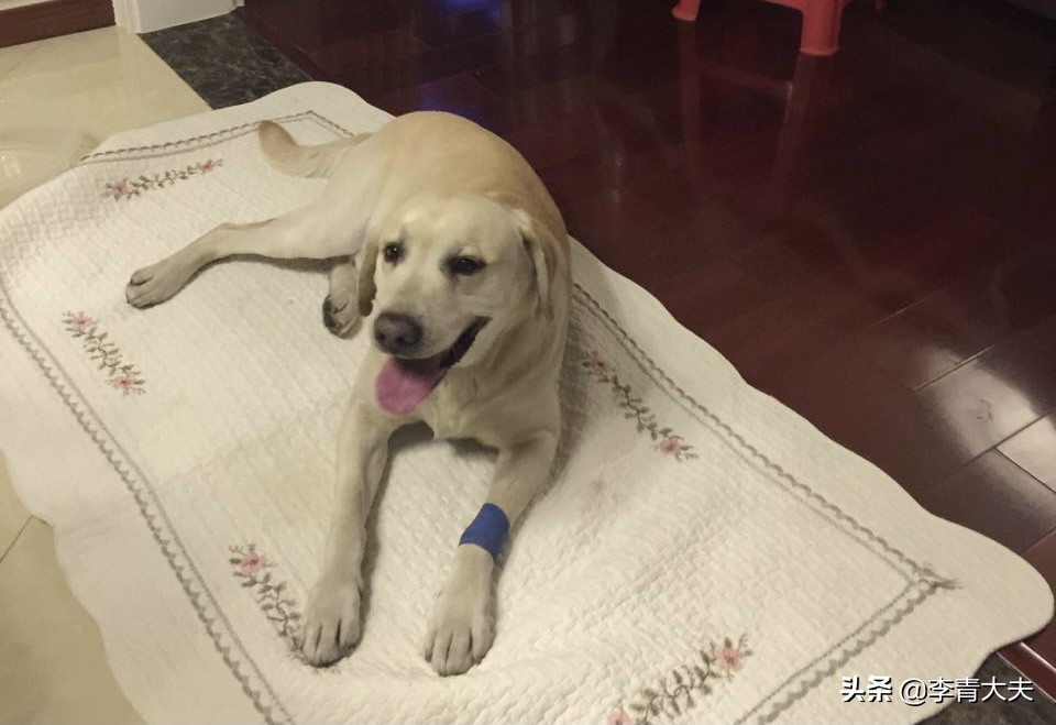 麦扣的家庭,麦扣的质感好物