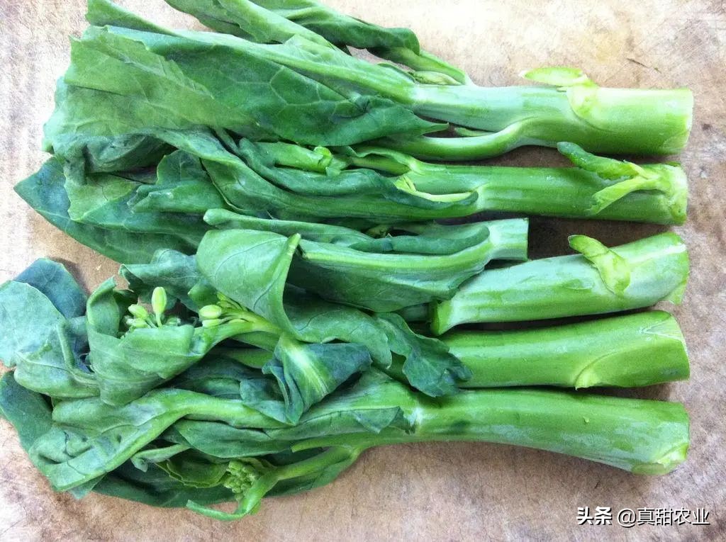 台风助力产区菜价整体飘红10.13广州蔬菜行情