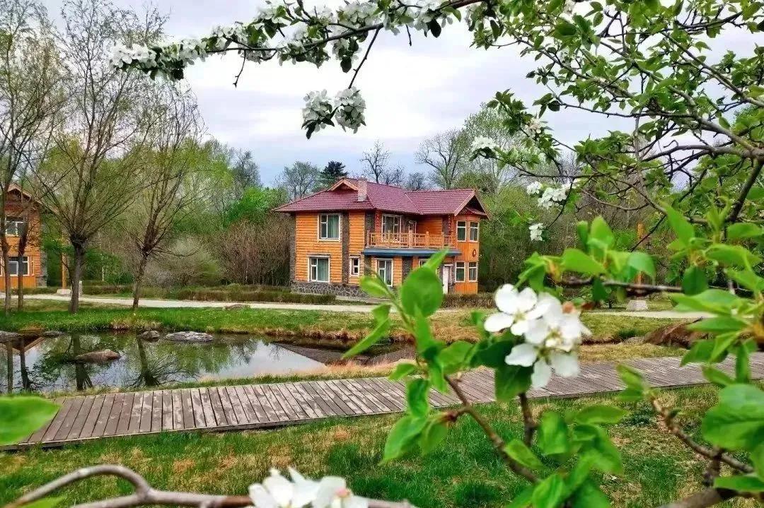 五一旅游如何去长白山,白山市4天旅游攻略