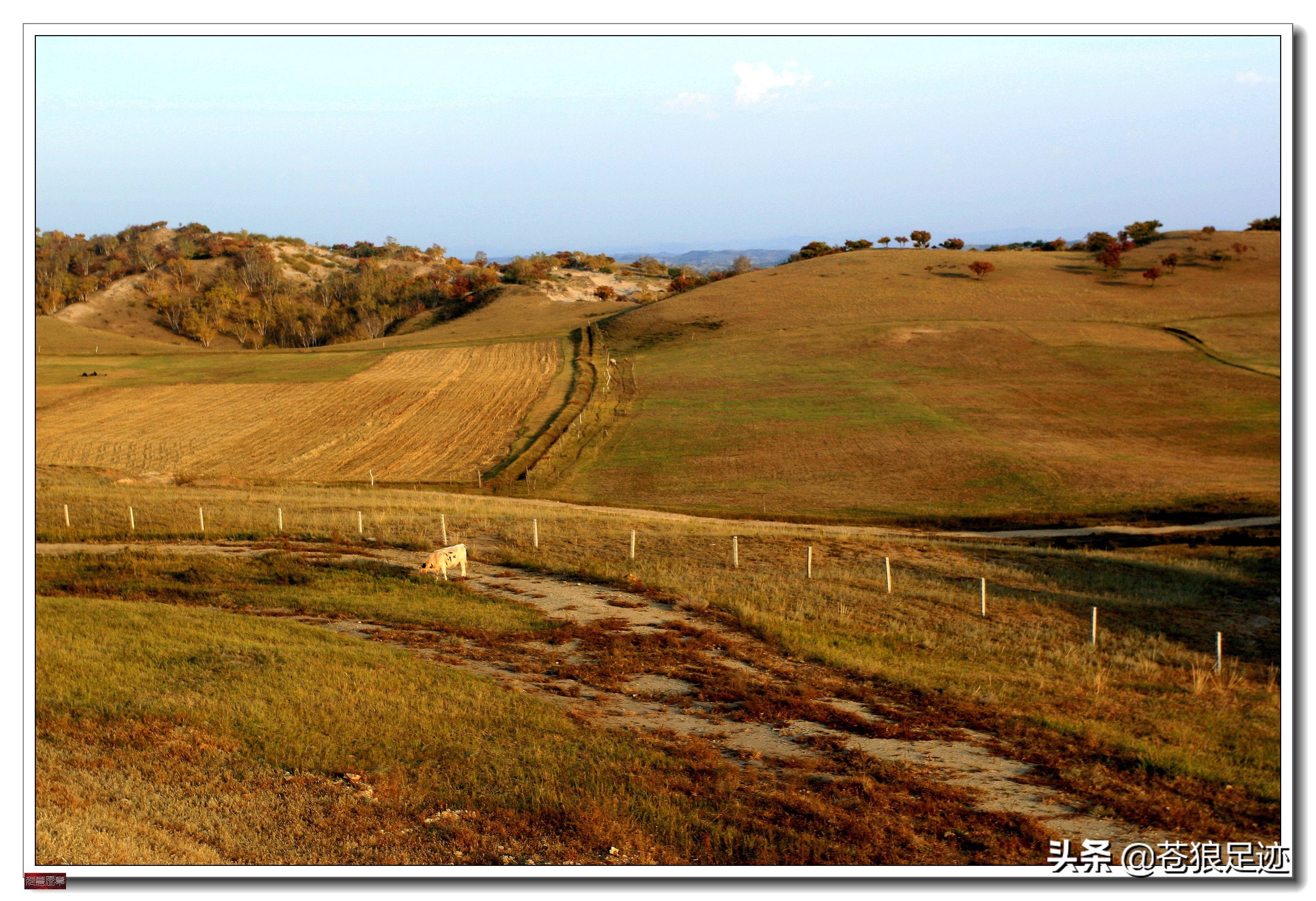 野阔牛羊同雁鹜——雄浑壮阔的贡格尔草原