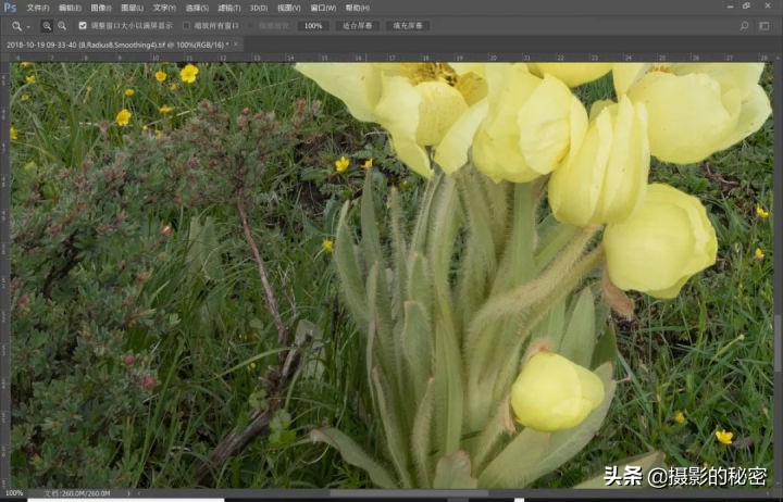 前后景深都清晰合影怎么拍,前后景都拍清晰的方法