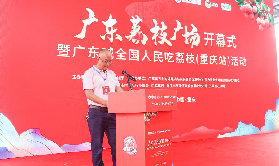 C位出道亮相山城！连续霸榜的广东荔枝到底有啥魔力？