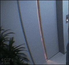 搞笑动图的视频,搞笑动图