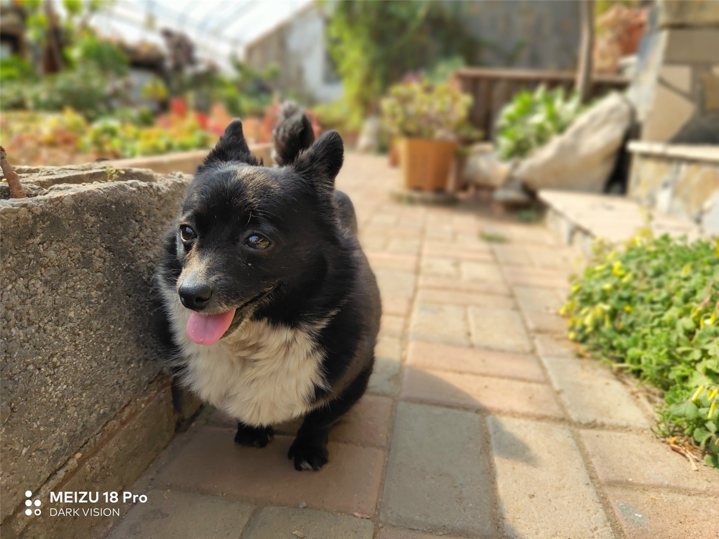 魅族18和魅族18pro买哪个好,魅族18s18pro与18x区别