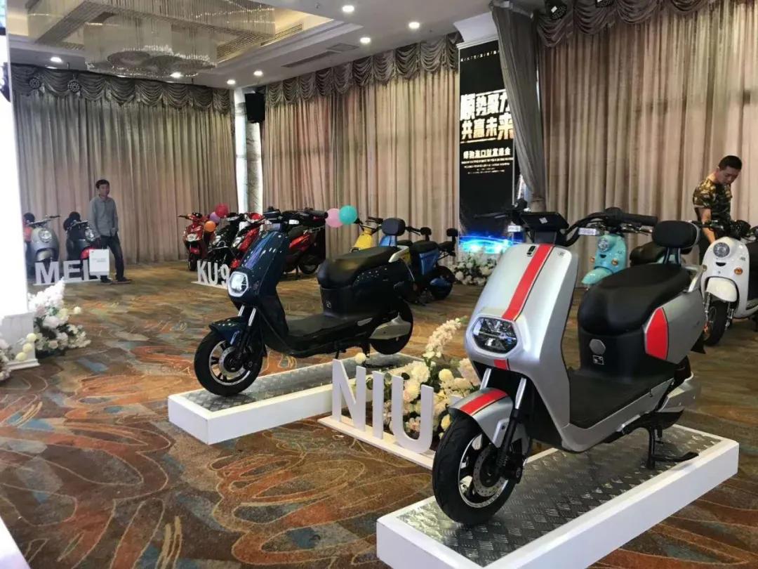 绿驹2019业绩,绿驹2022年销量