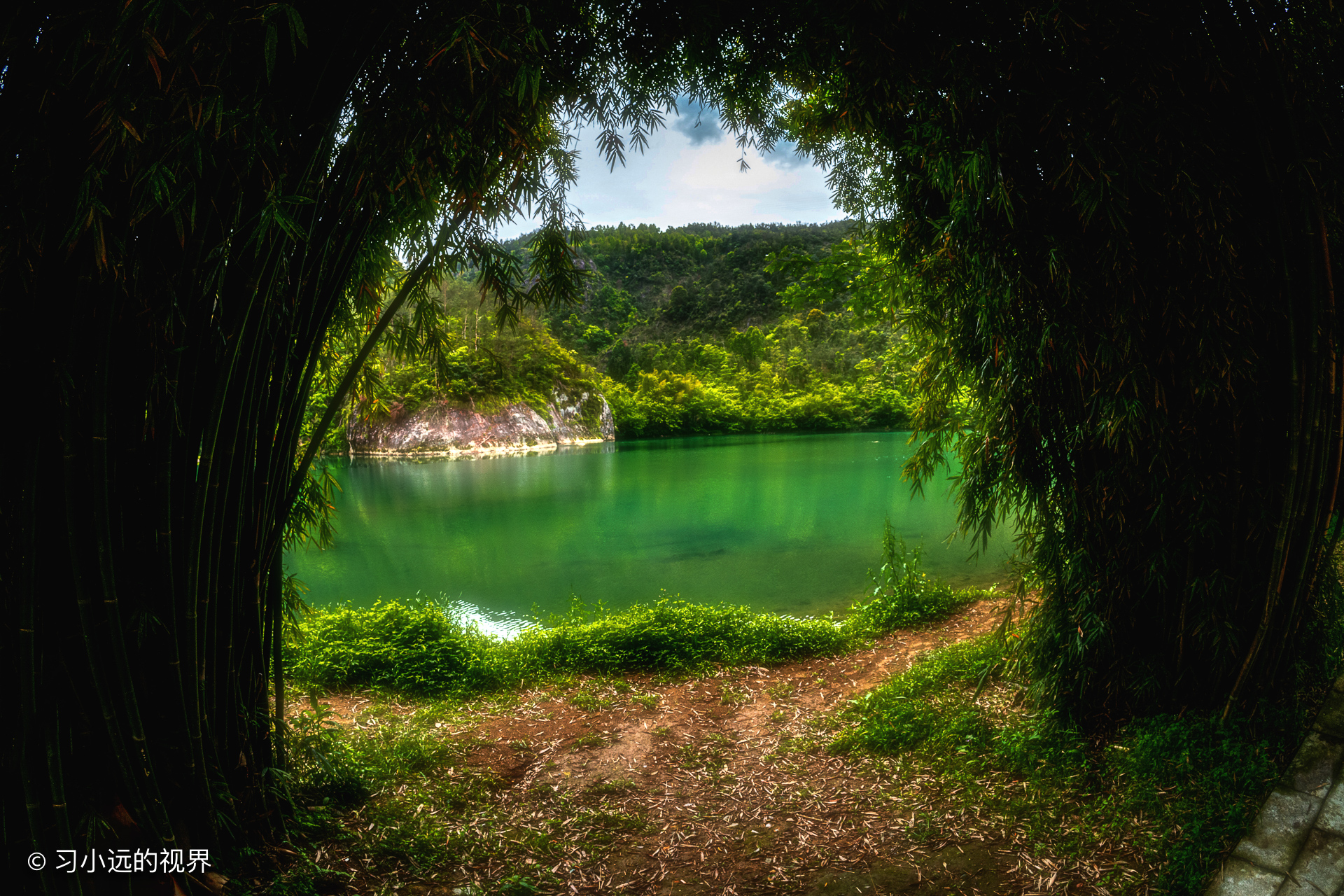 永嘉书院里有书,永嘉书院全部照片