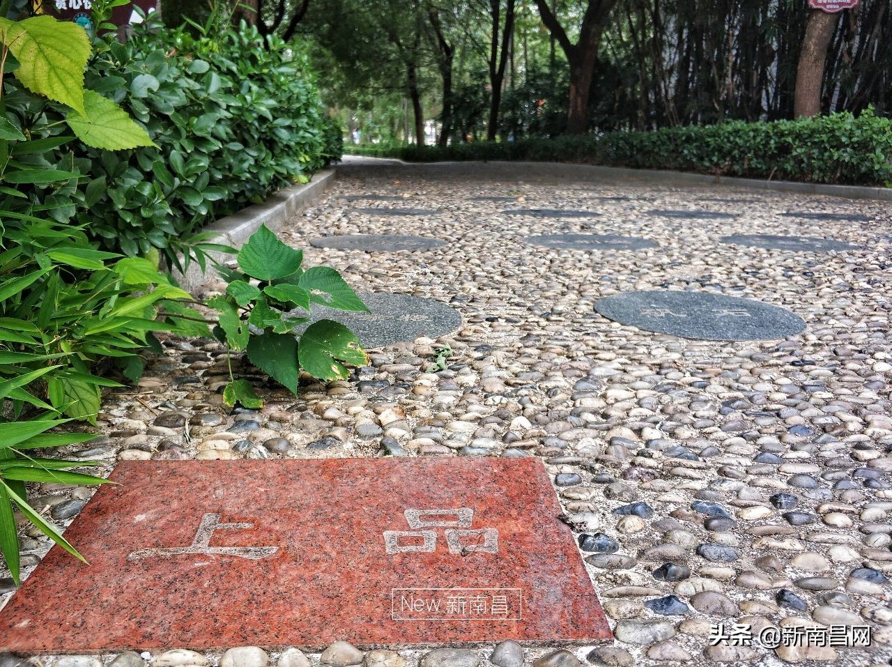 江西中医药大学回忆,现在的江西中医药大学