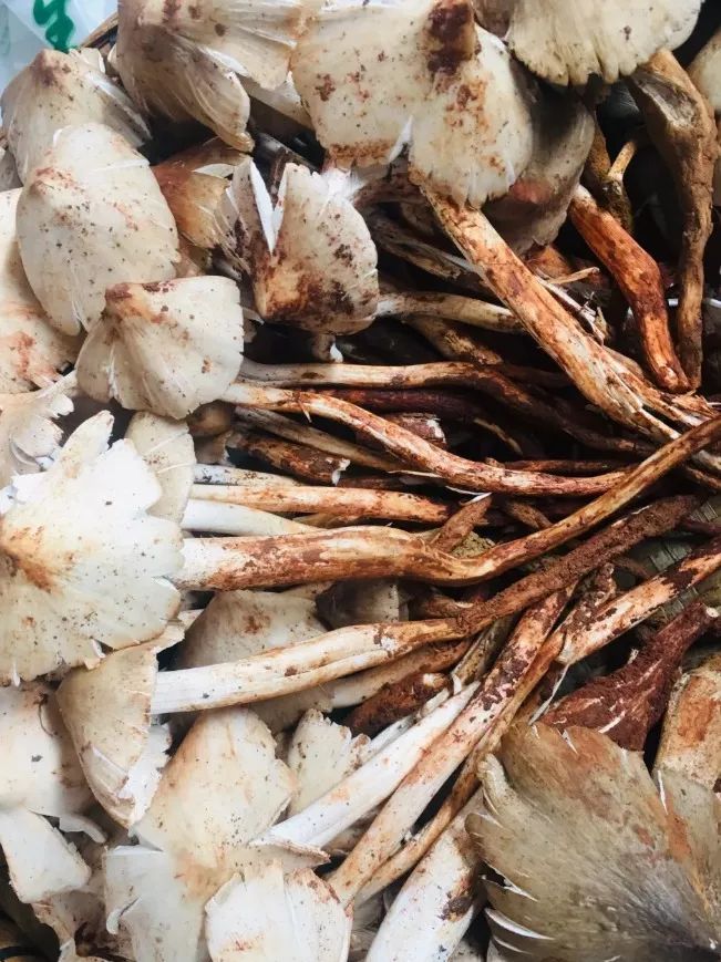 24小时丨吃饱喝足，我醉在了昆明的小夜风里