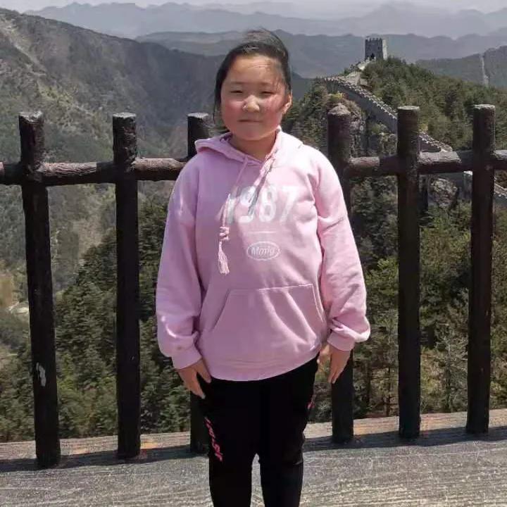 楚雄市新时代好少年评选,2019洛龙区龙富小学