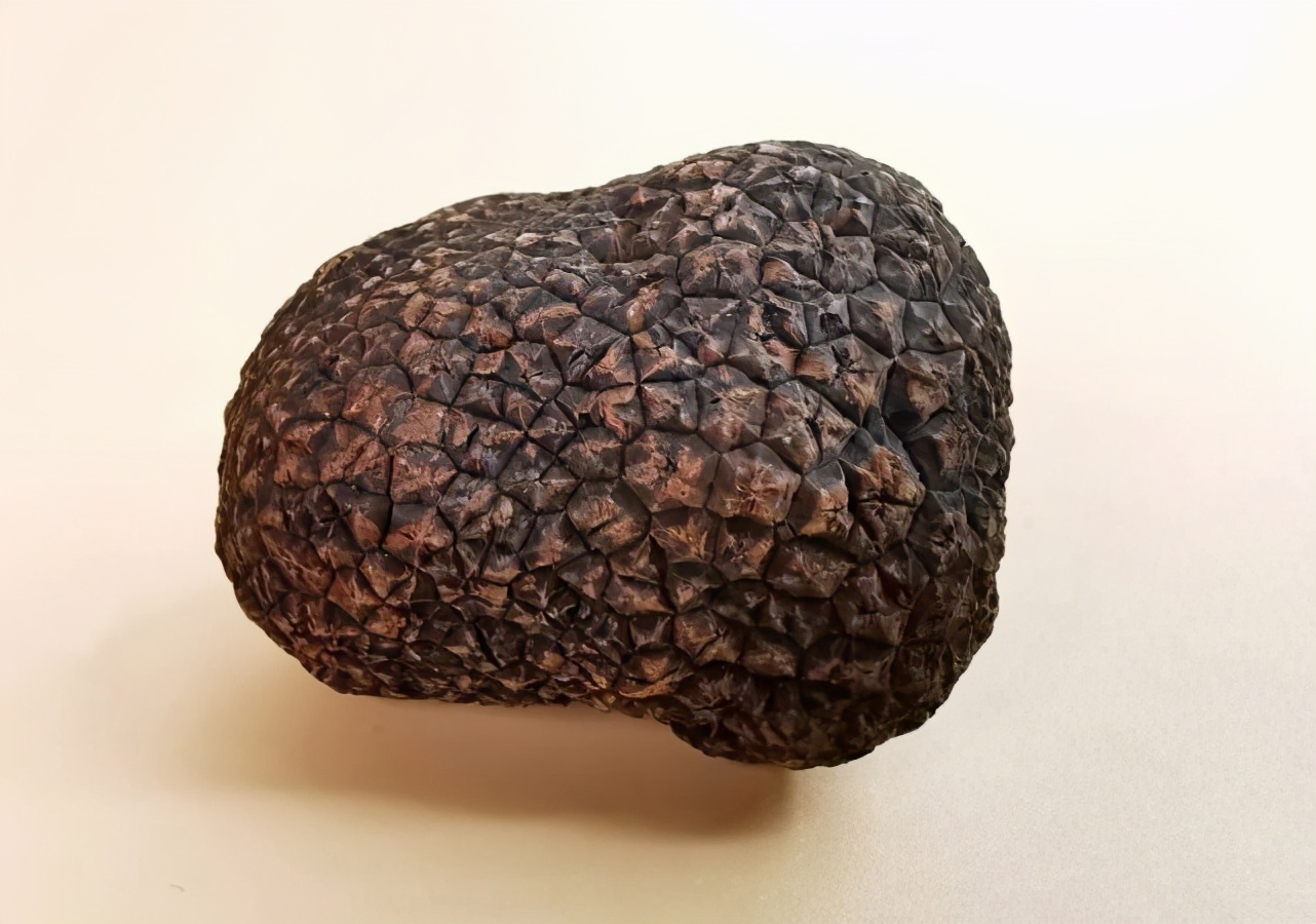 白松黑露，在丽江「上演旷世传奇」