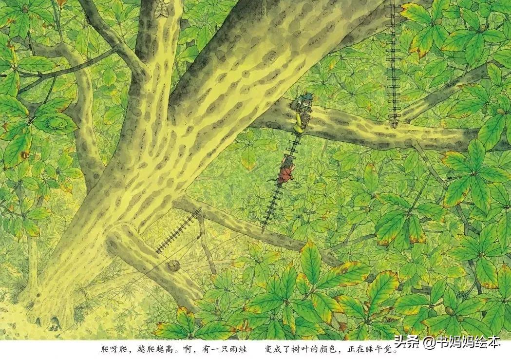 中秋与月亮绘本故事图片,中秋节的晚上我想对月亮许愿绘本