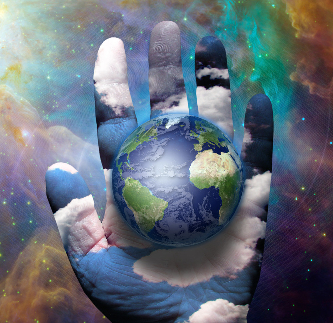 人死火化是浪费资源？动物死了进入生态循环，人类却打破自然规律