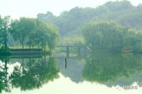梅雨时节的铁山寺,这里藏着最美的风景