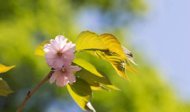 如果你爱上了一个有家庭的男人，要学会如此做
