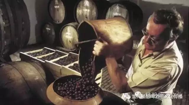 德国进口原装啤酒beer,啤酒德国巴伐利亚进口原装