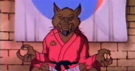 永远的忍者神龟2009年,永远的忍者神龟中文版全集