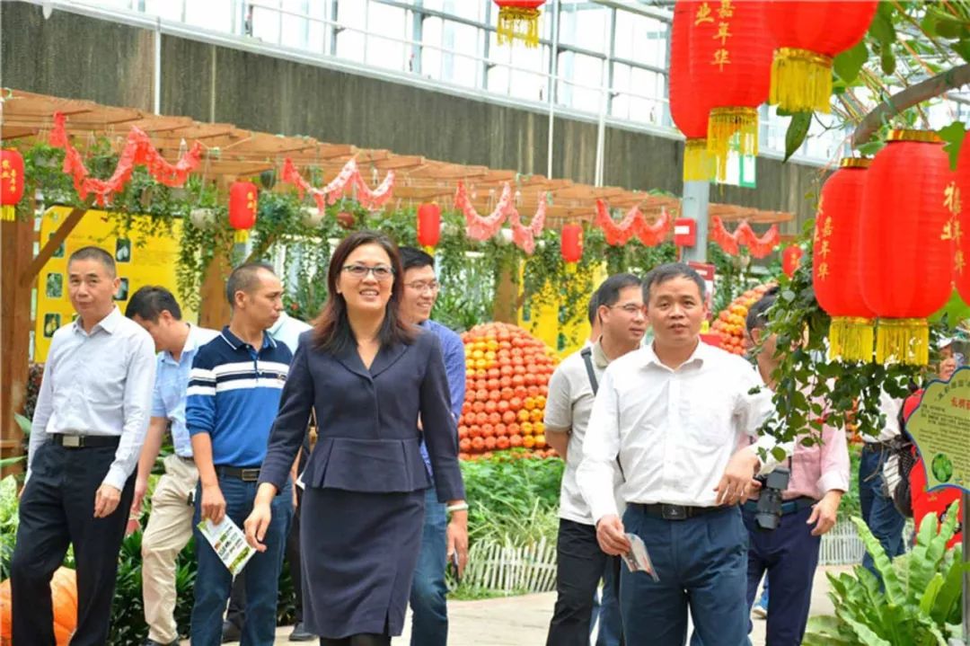 中农富玉大事记,中农富玉未来发展趋势