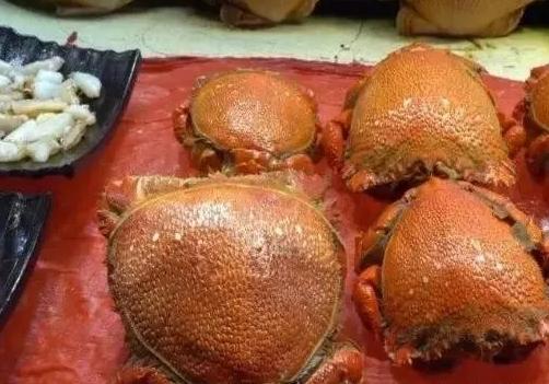 最顶级的5种海鲜,盘点我吃不起的五大顶级海鲜