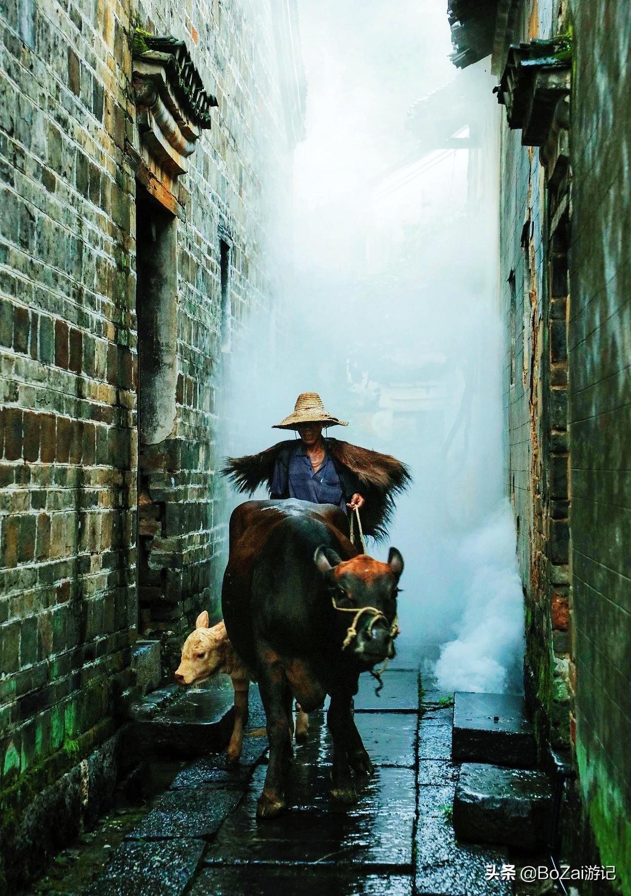 桂林旅游攻略必看景点有哪些,桂林的旅游景点有哪些地方