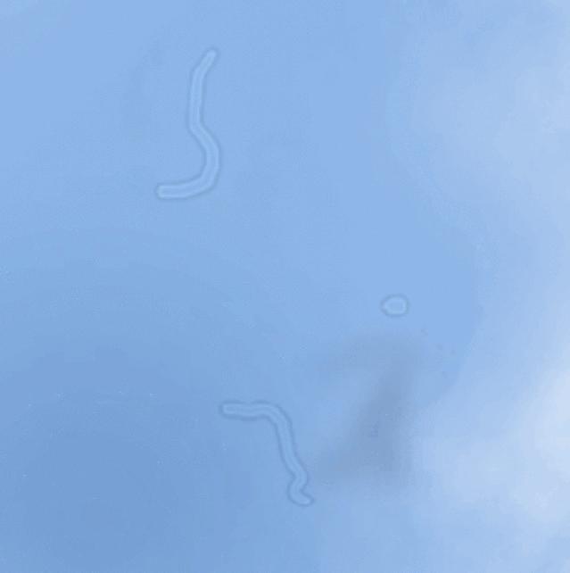 娓呮櫚瑙嗛噹涓嶄激鐜荤拑,娓呮櫚瑙嗗姏鏈夋病鏈夐槻钃濆厜鍔熸晥