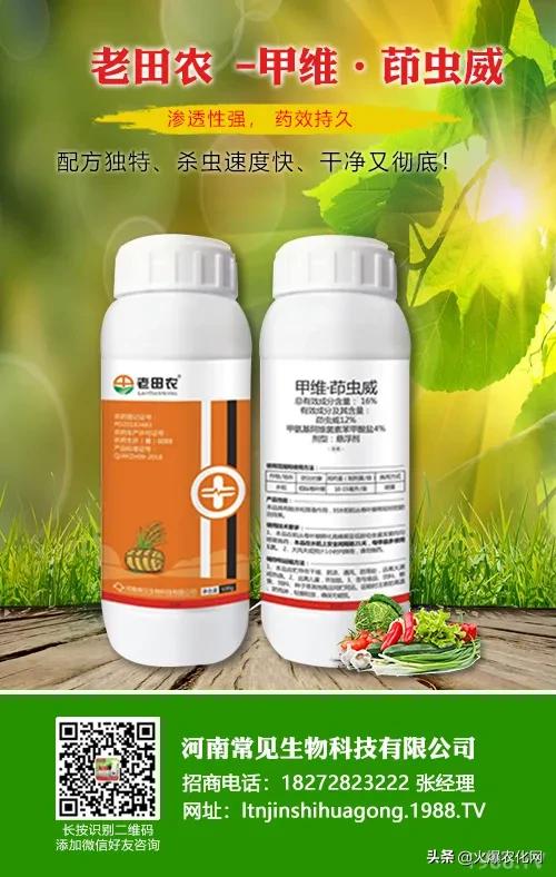 甲维盐多久能杀死虫子,甲维盐高氯能杀红蜘蛛吗